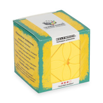 " DELFBRICK" DLK- 15 Головоломка механическая " Клевер" 1 элемент. 