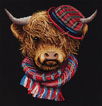 Набор для вышивания "PANNA" J-7202 "Стиляга Джо"