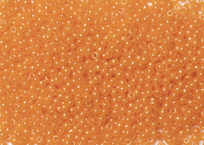 Бисер Чехия круглый 10/0 50г 17189 оранжевый