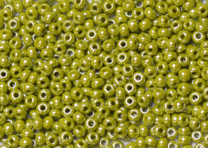 Бисер Чехия круглый 10/0 500г 58430 зелёный