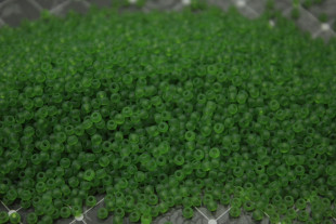 Бисер Чехия круглый 10/0 500г 50430m зелёный матовый