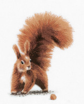 Набор для вышивания "PANNA" "Живая картина" JK-2176 "Белочка с орешком"