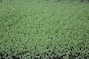 Бисер Чехия круглый 10/0 50г 57552 зелёный