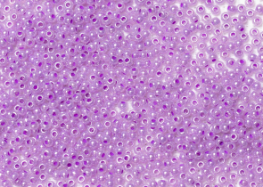 Бисер Чехия круглый 10/0 500г 37128 сиреневый