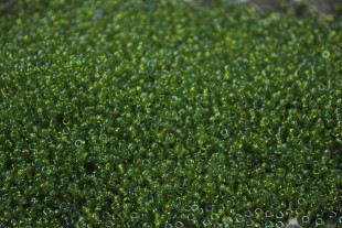 Бисер Чехия круглый 10/0 50г 51220 зелёный