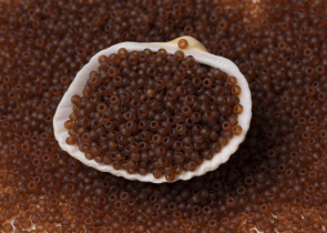 Бисер Чехия круглый 10/0 50г 10090m коричневый матовый