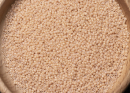 Бисер Япония MIYUKI Seed Beads 15/0 100г 0597 тан непрозрачный блестящий