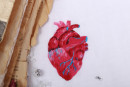 Набор для вышивания "PANNA" "Живая картина" JK-2195 "Анатомическое сердце"