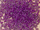 Бисер Япония MIYUKI Delica  11/0 5г DB-0281 бледно-пурпурный с цветной линией блестящий