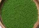 Бисер Япония MIYUKI Seed Beads 15/0 100г 0411 нефритовый зелёный непрозрачный