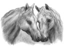 " ФРЕЯ" RPSB- 0046 " Лошади" Скетч для раскраш. чернографитными карандашами 29. 5 х 20. 5 см 1 л. . 