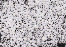 Бисер Япония MIYUKI Seed Beads 15/0 100г 0471 белый жемчуг радужный