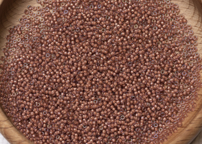 Бисер Япония MIYUKI Seed Beads 15/0 5г 0337 корица блестящий с цветной линией — фото 5