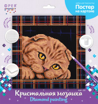 Кристальная ( алмазная) мозаика  " ФРЕЯ" ALBP- 293 постер " Шотландская кошка" 30 х 30 см — фото 2