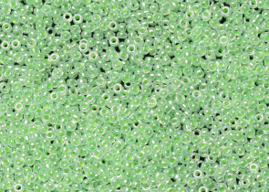 Бисер Япония MIYUKI Seed Beads 15/0 100г 0520 мятно-зелёный цейлон — фото 1