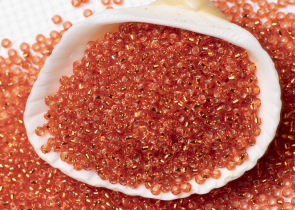 Бисер Япония MIYUKI Seed Beads 15/0 100г 0009 мандарин серебряная линия внутри — фото 3