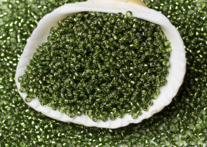 Бисер Япония MIYUKI Seed Beads 15/0 100г 0026 оливковый серебряная линия внутри — фото 3
