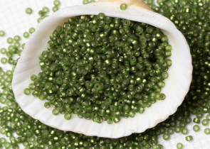 Бисер Япония MIYUKI Seed Beads 15/0 5г 0026F оливковый матовый серебряная линия внутри — фото 3