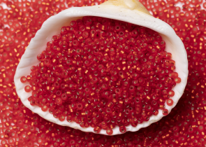 Бисер Япония MIYUKI Seed Beads 15/0 5г 0010F огненно-красный серебряная линия внутри — фото 3