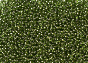 Бисер Япония MIYUKI Seed Beads 15/0 5г 0026 оливковый серебряная линия внутри — фото 1